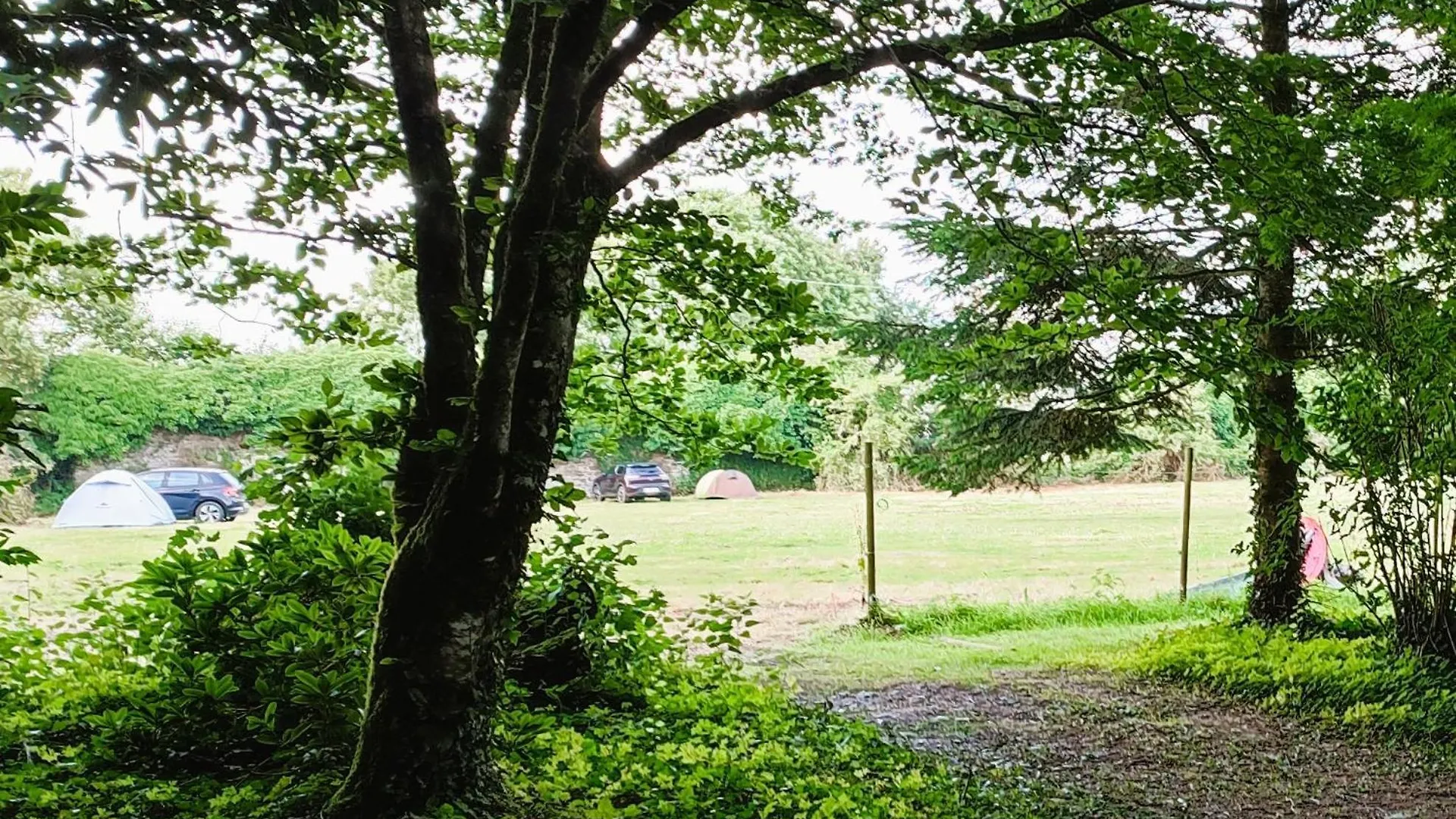 キャンプ場 Camping Vieilles Charrues Petit-Dejeuner Navette Et Priscine Inclus Dans Le Prix Proche Carhaix Motreff